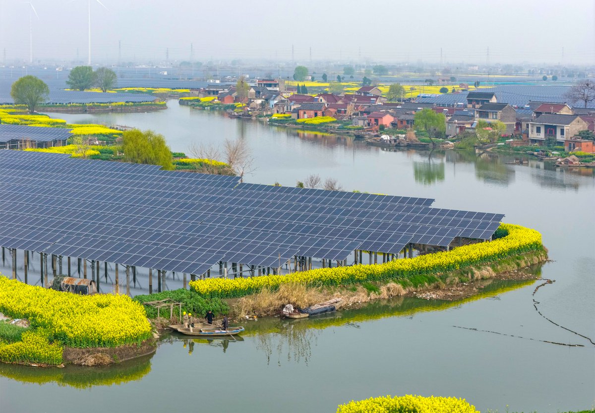 TaizhouCity's tweet photo. In spring, Taizhou’s golden canola fields stand alongside oil pumps, solar panels, and wind turbines. 🌼 https://t.co/SL7AZ9fFE6