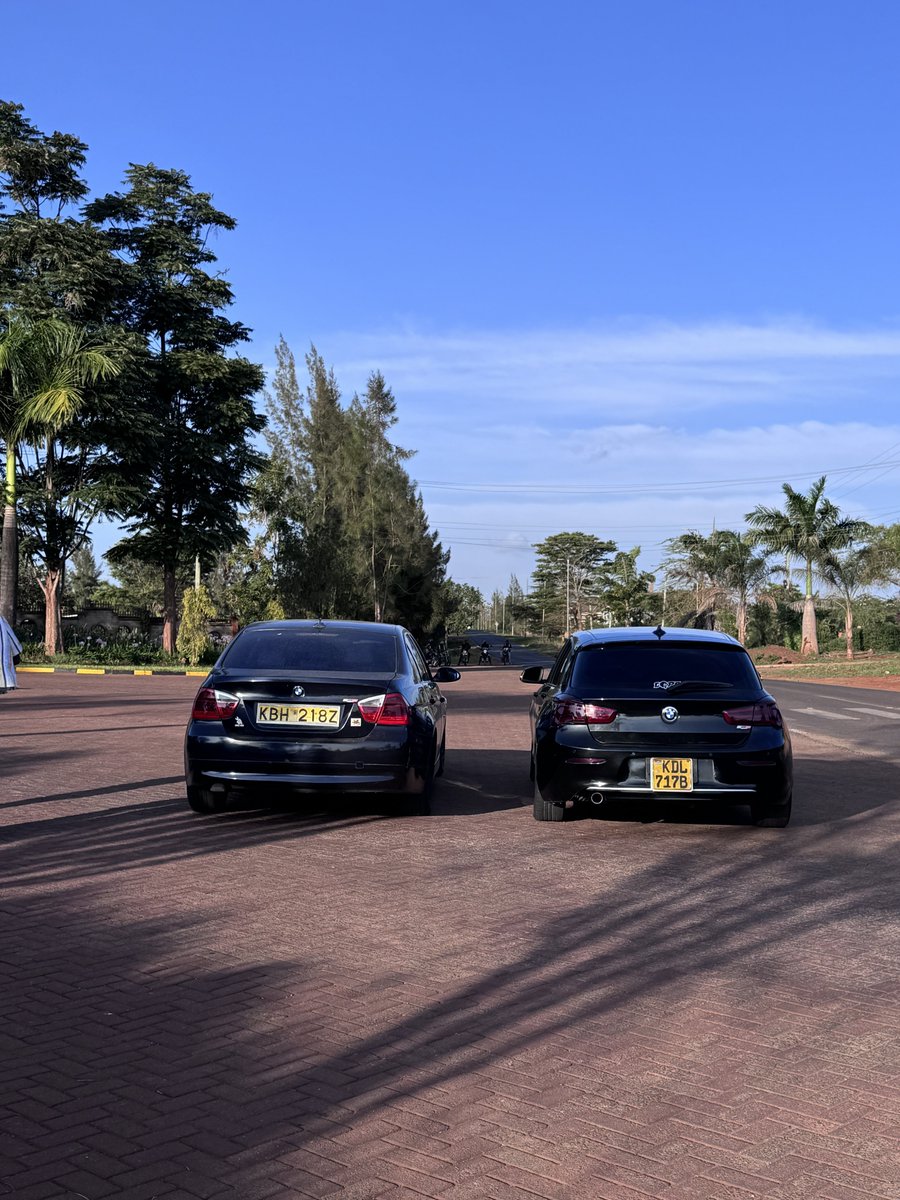 Carpathian Mzungu tweet media