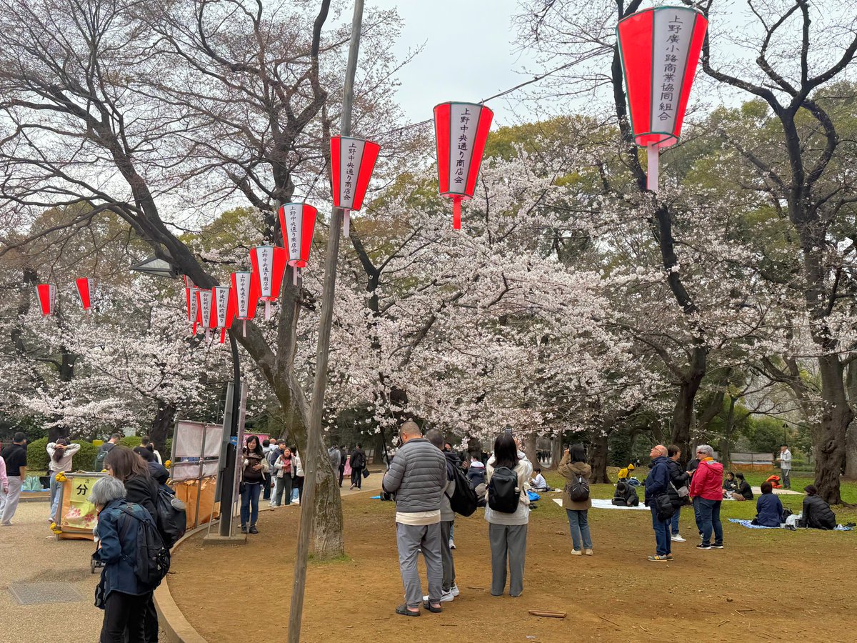 ハッチャン：ランニングアドバイザー tweet media