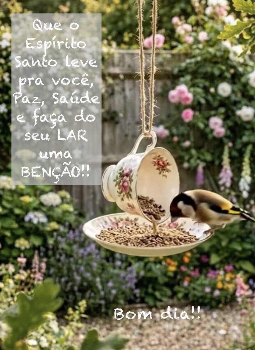 Marcelo de Marco tweet media