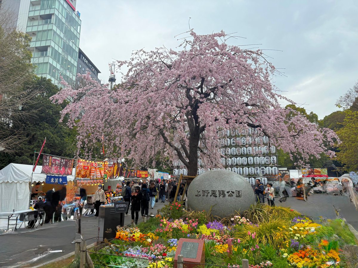 ハッチャン：ランニングアドバイザー tweet media