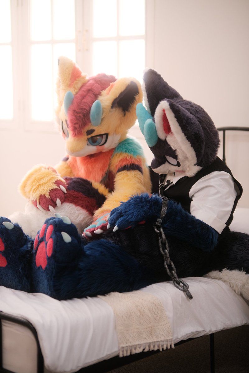 🌟Spectrum 🔜Furstclass tweet media