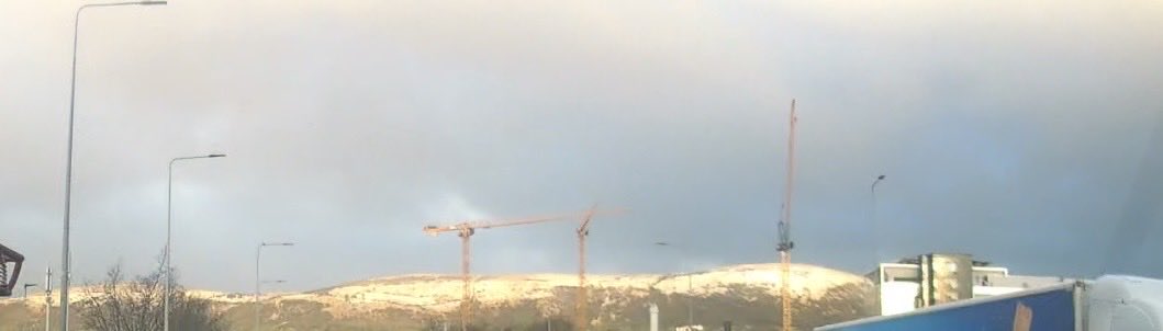 Prof AJ McKnight tweet media