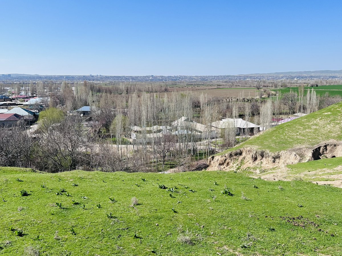 Navbahor Imamova tweet media