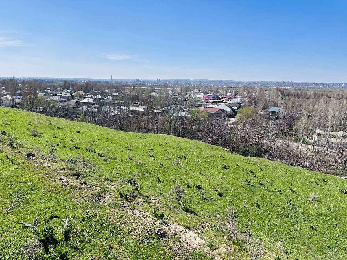 Navbahor Imamova tweet media