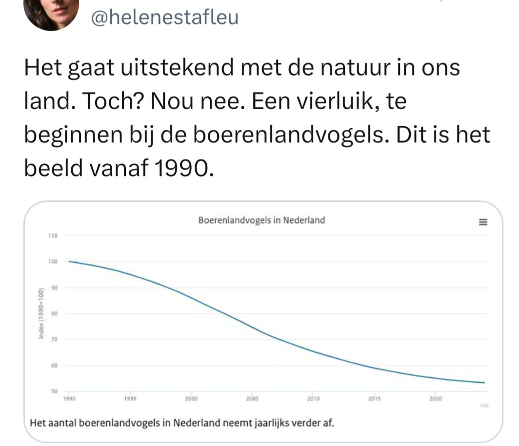 helene stafleu tweet media