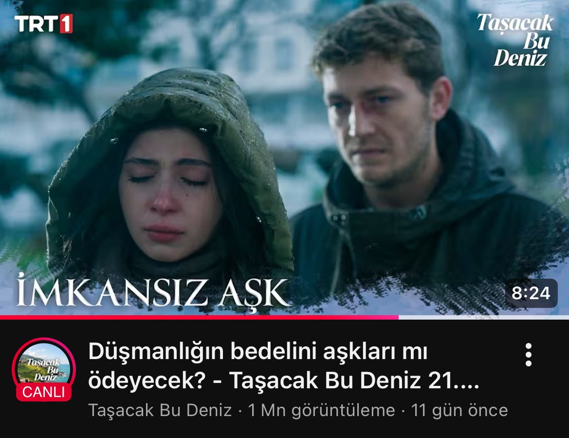 dazai furtuna tweet media