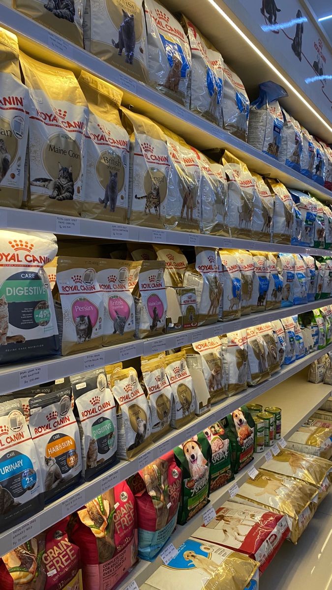 Alaric Ishaan. tweet media