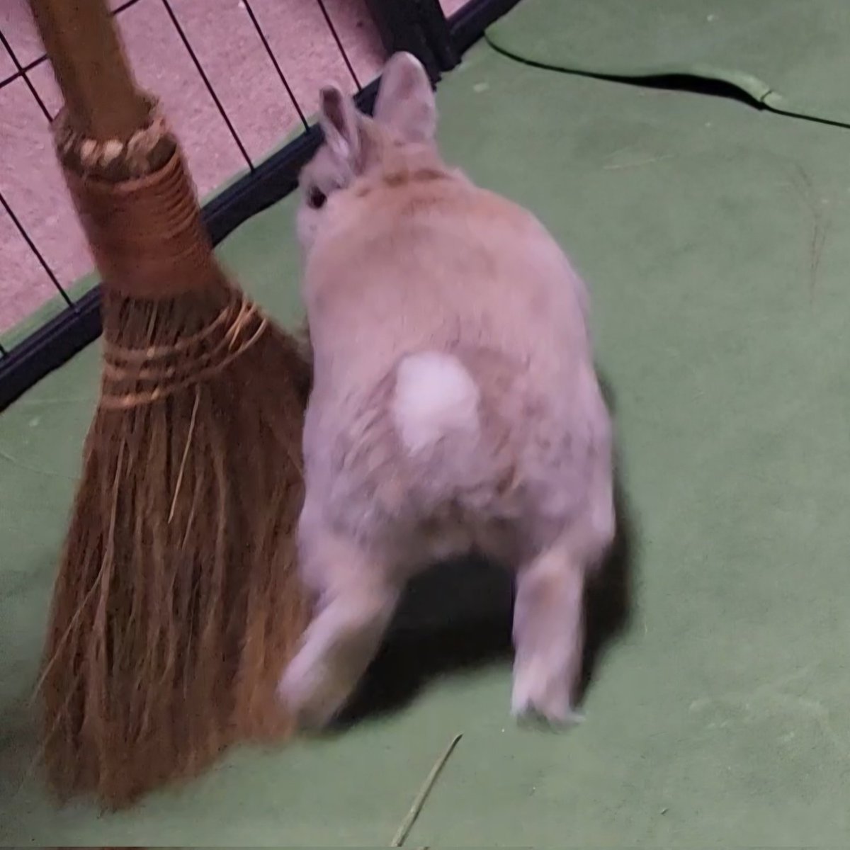 T7ふぉんNP tweet media