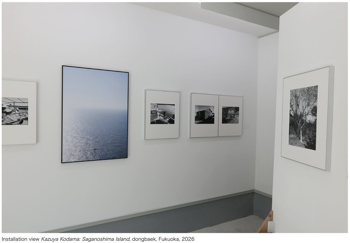 ARTiT_Asia's tweet photo. 【PHOTO】Kazuya Kodama: Saganoshima Island @ dongbaek
3/5–3/28 https://t.co/hHlZQWwLsR https://t.co/33INxF2a0N