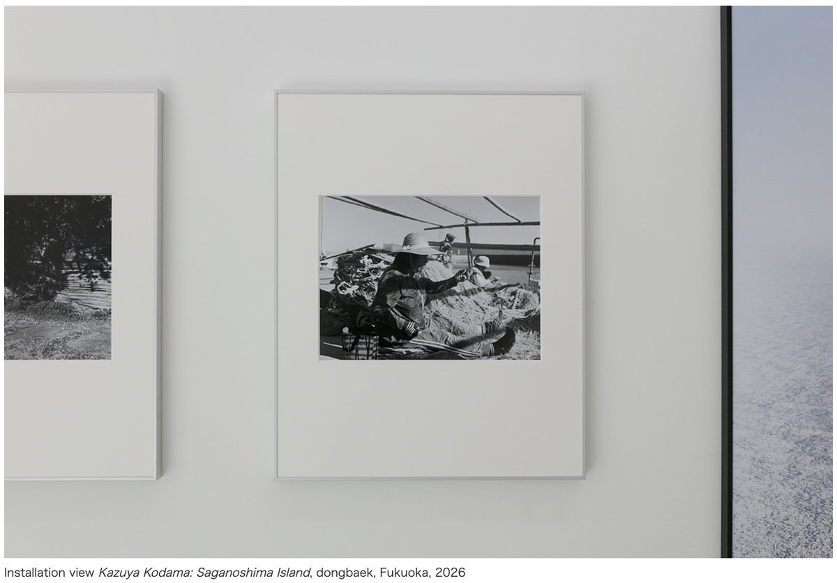ARTiT_Asia's tweet photo. 【PHOTO】Kazuya Kodama: Saganoshima Island @ dongbaek
3/5–3/28 https://t.co/hHlZQWwLsR https://t.co/33INxF2a0N