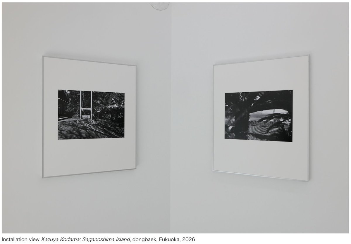ARTiT_Asia's tweet photo. 【PHOTO】Kazuya Kodama: Saganoshima Island @ dongbaek
3/5–3/28 https://t.co/hHlZQWwLsR https://t.co/33INxF2a0N