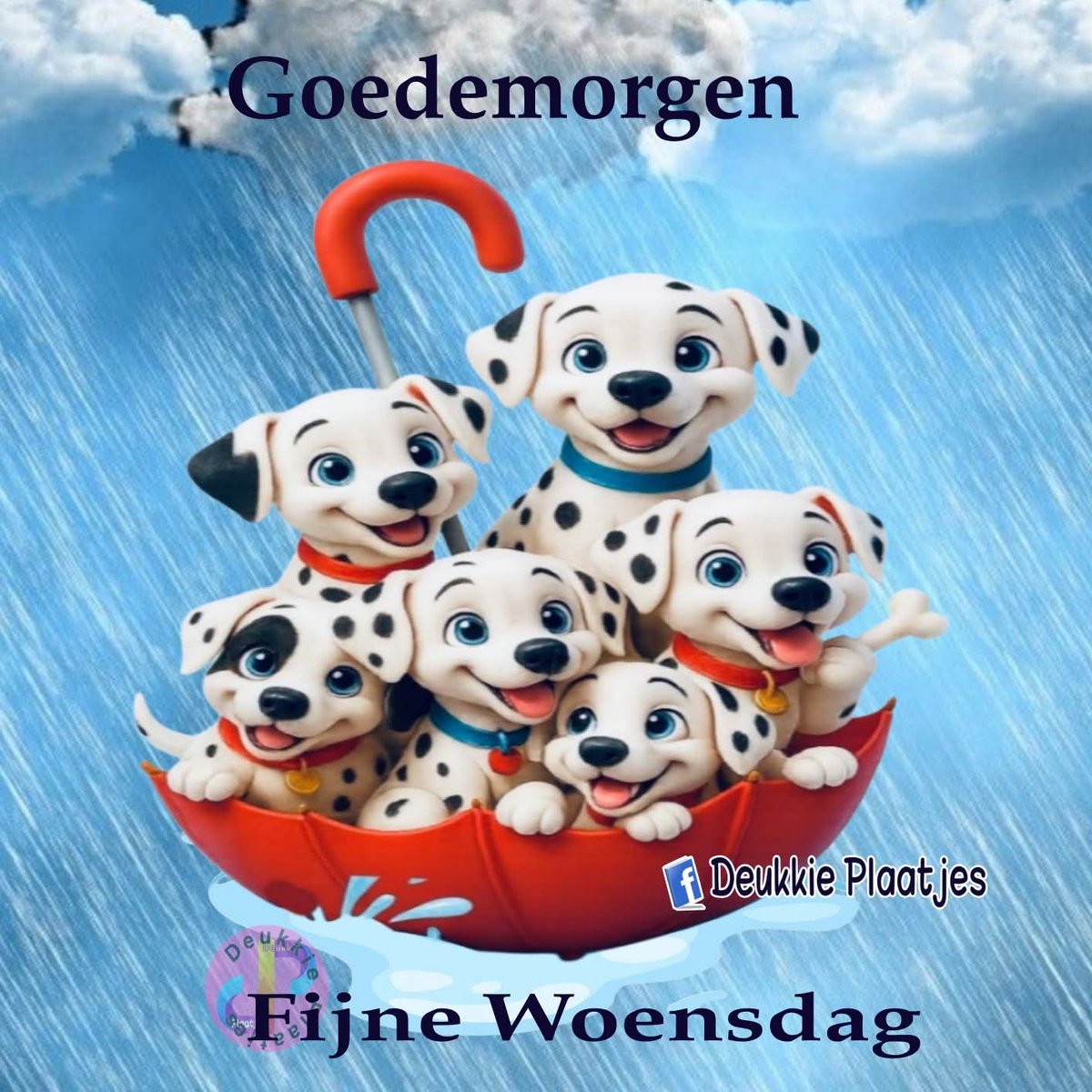 Lex Verzijlbergen tweet media