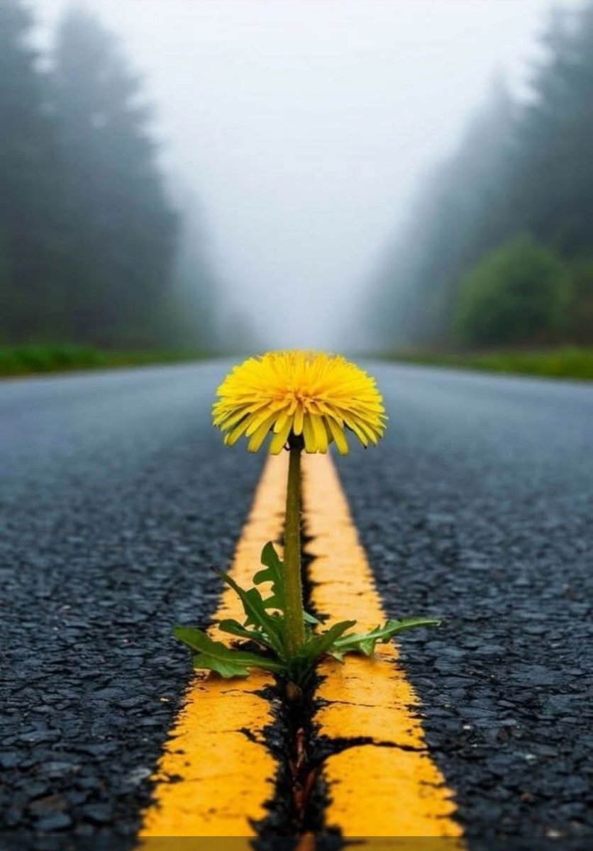 الُِحٍيـــاة حٍلُِــوُه⇠ɑ̣̣̝̇̇£ƨн̣̣̣̝̇̇̇♡ tweet media