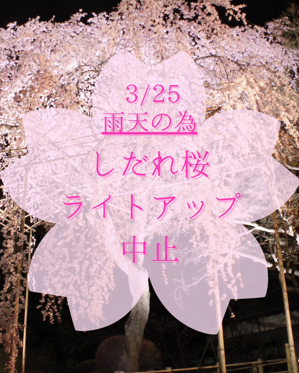 清水公園《公式》 (@shimizukouen) on Twitter photo 