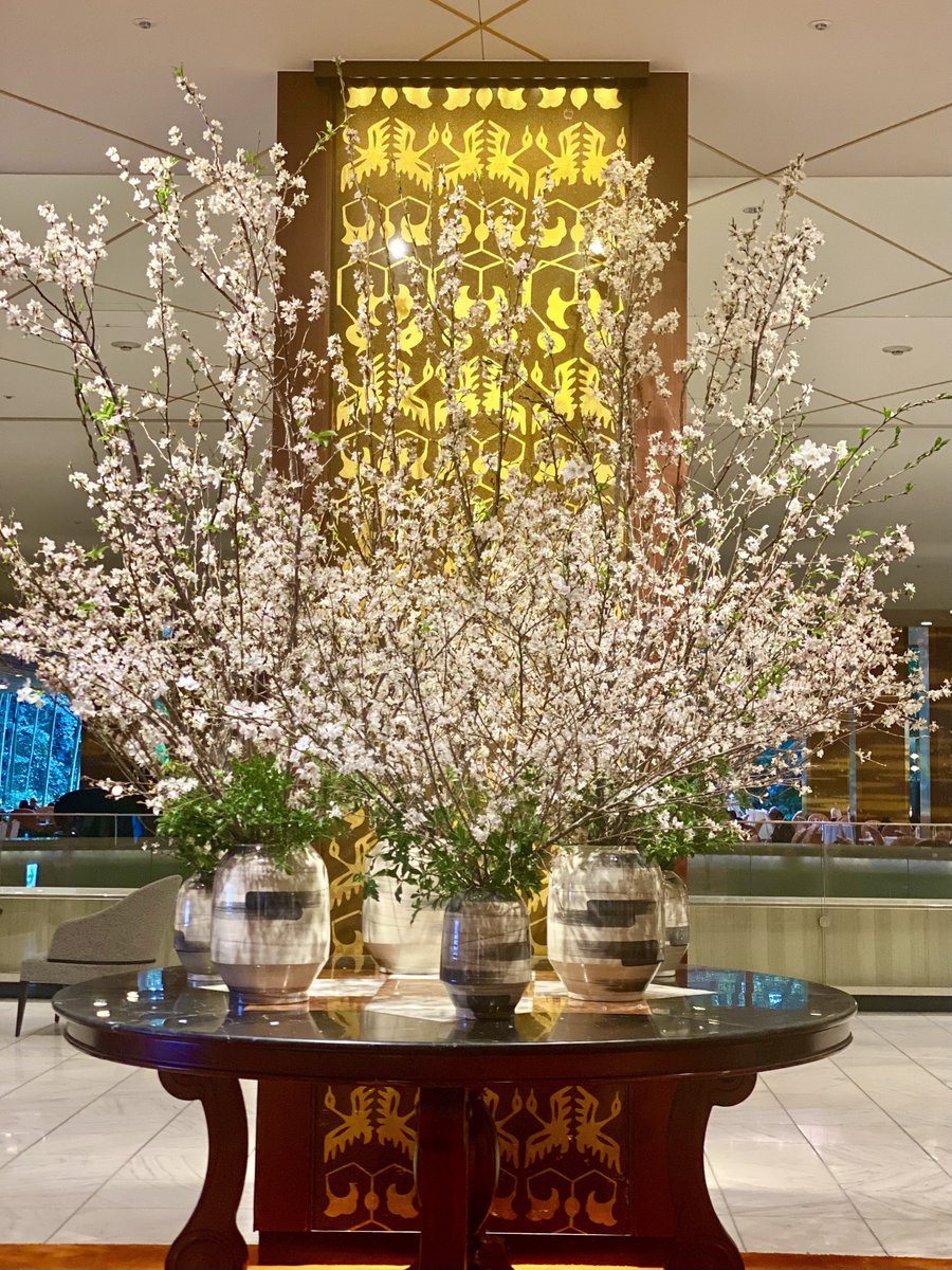 付き人@おとうちゃん tweet media