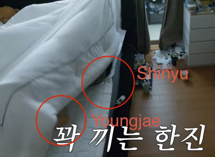 키야 🍃🍃🍃 tweet media