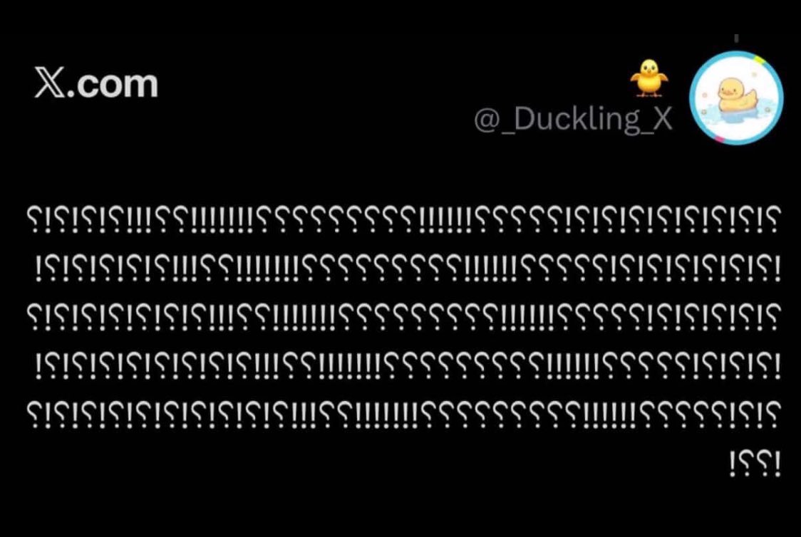 بَنفسج🪻 tweet media