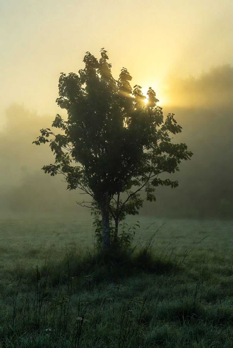 아빠는존버중 tweet media