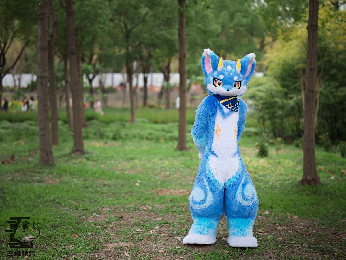 三维映兽 tweet media