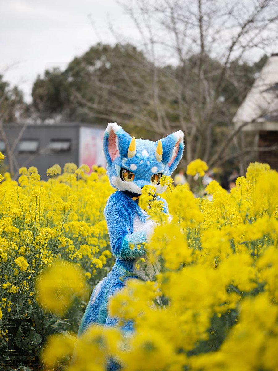 三维映兽 tweet media