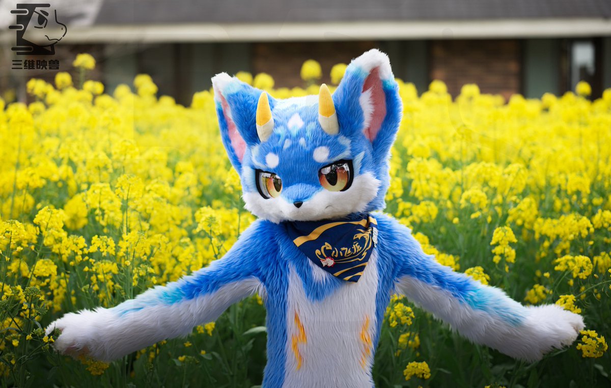 三维映兽 tweet media