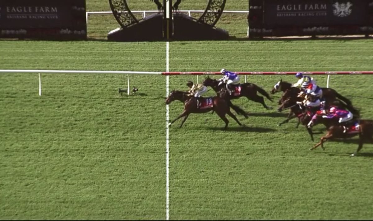 LittleDaveDick's tweet photo. Impact Zone in Boutique Racing silks gets the chocolates in Brissy for Nat McCall Racing and partners.  Great ride ⁦@BenThompson2102⁩. Onwards and upwards 🙏🏼👊🏼 https://t.co/pwDpjdf9E7