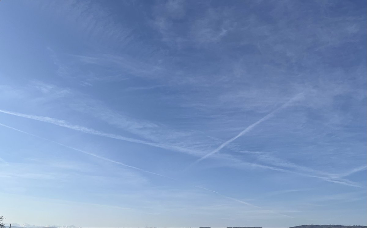 Drachen Wachküsserin 🇨🇭 Alles für die 🇨🇭 tweet media