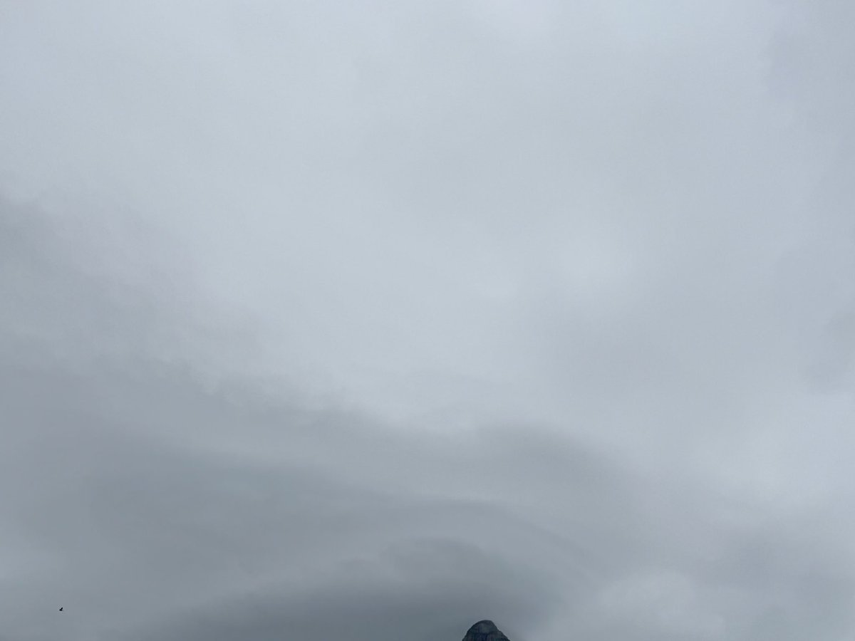 White Lion II (NDDN) Wittoslav Lionovski tweet media