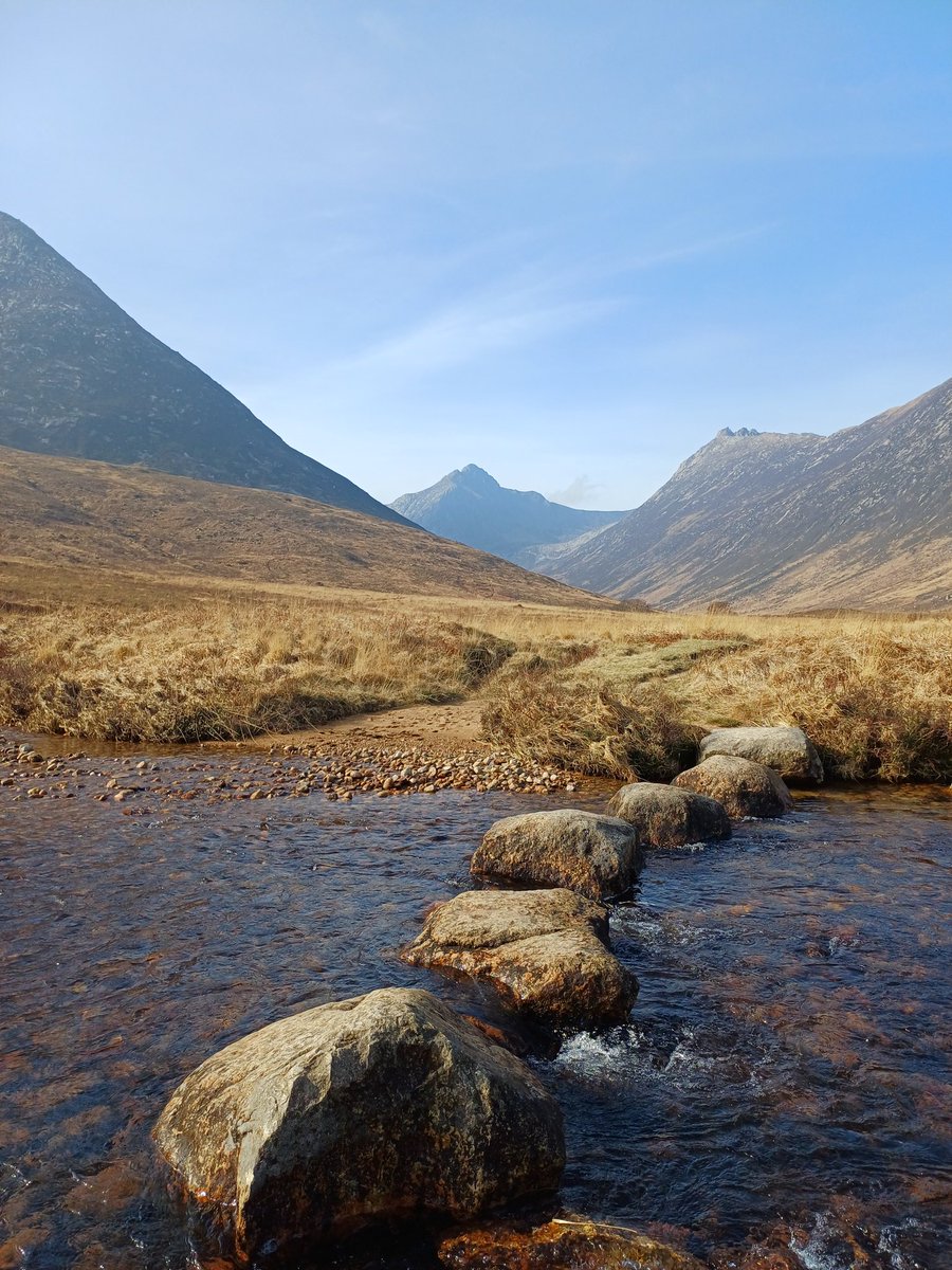 Brew with a view tweet media