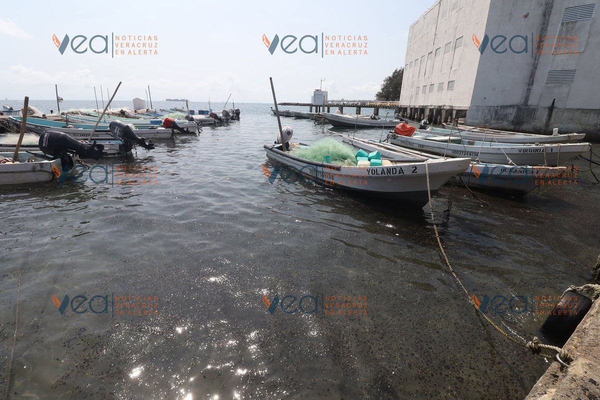 🎙️ ᗰᖇ. ᑕíᐯIᑕO ®🇲🇽₿ ✖️ tweet media