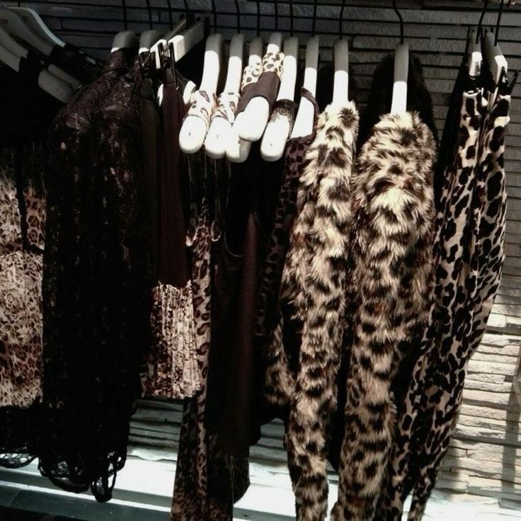 𝗩𝗶𝗻𝗻 tweet media