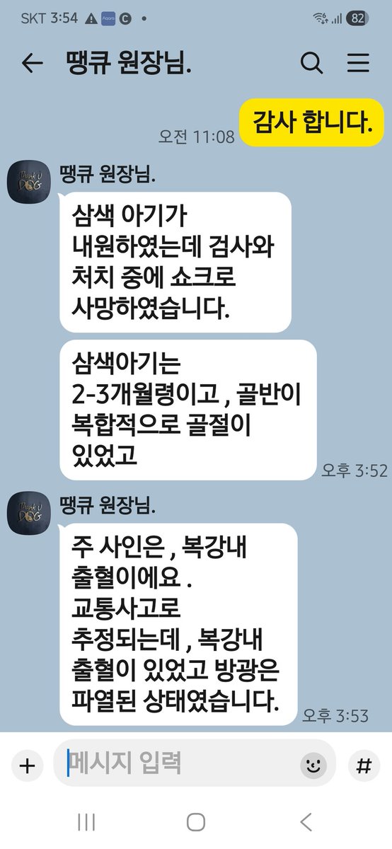 동두천 냥이쉼터 tweet media