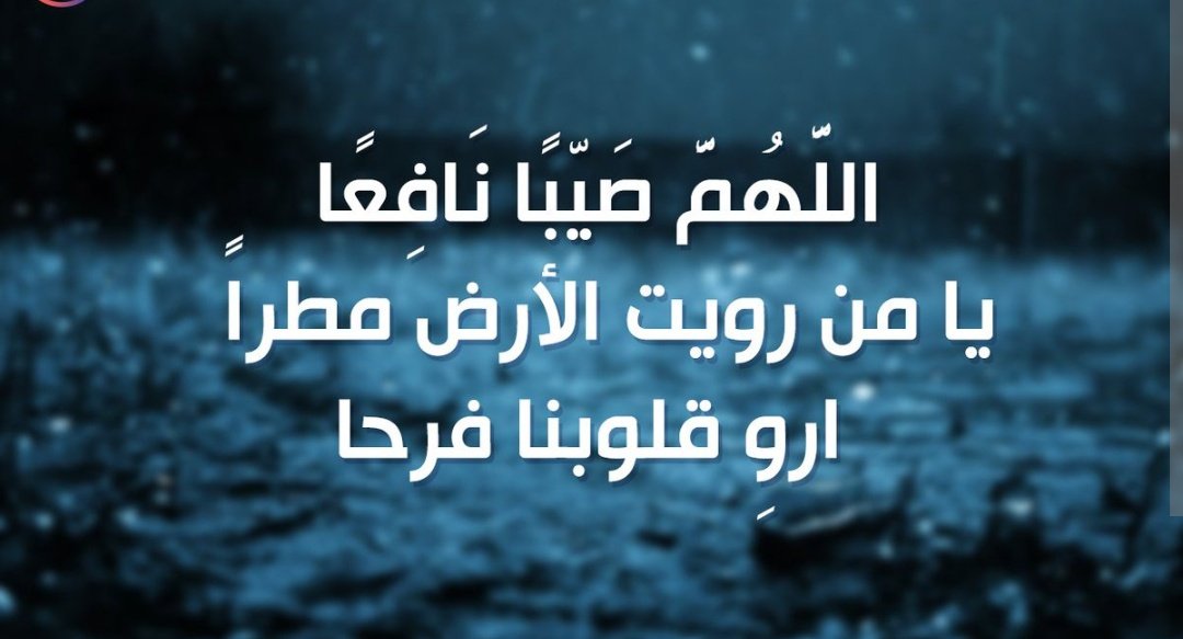 ShoSho ☕🍓💫 tweet media