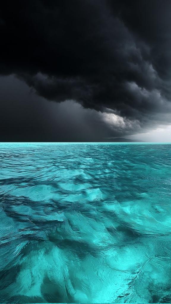 CAT & KAT 22 tweet media