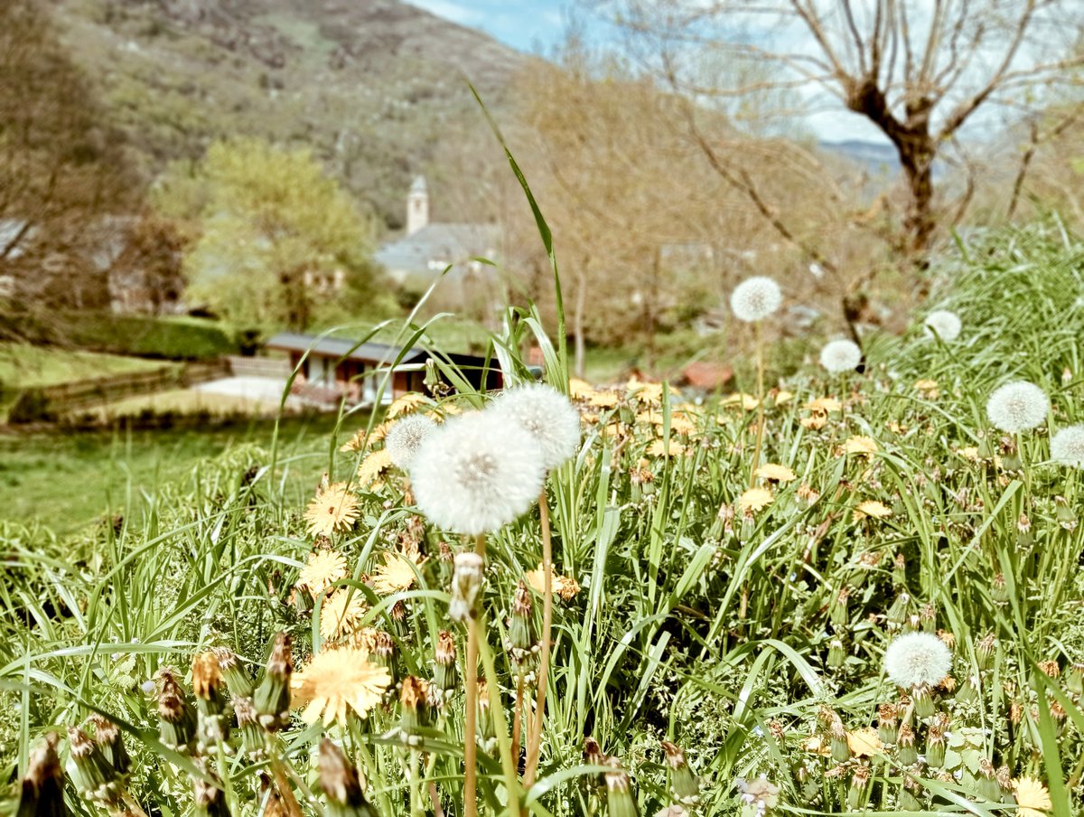 @SòniaSomiSerem tweet media