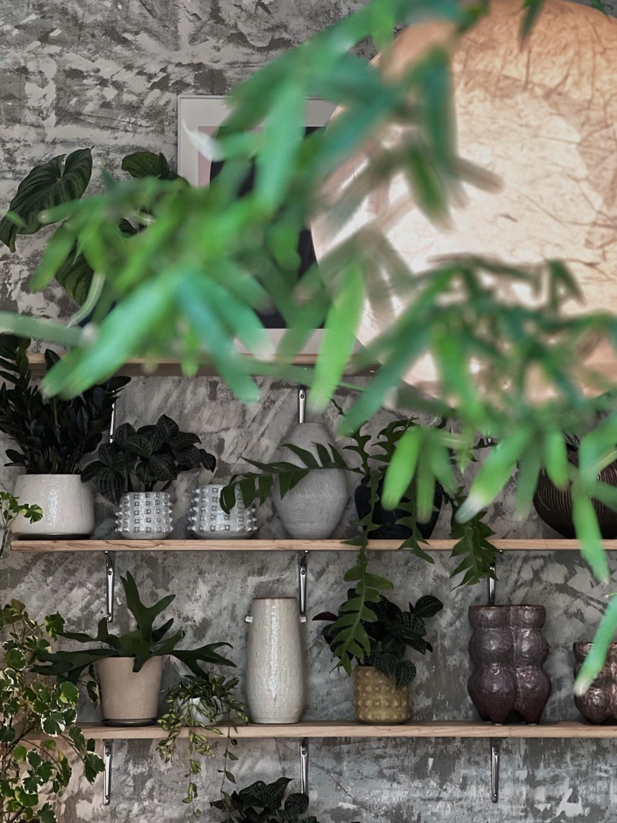 Teresa Ousley tweet media