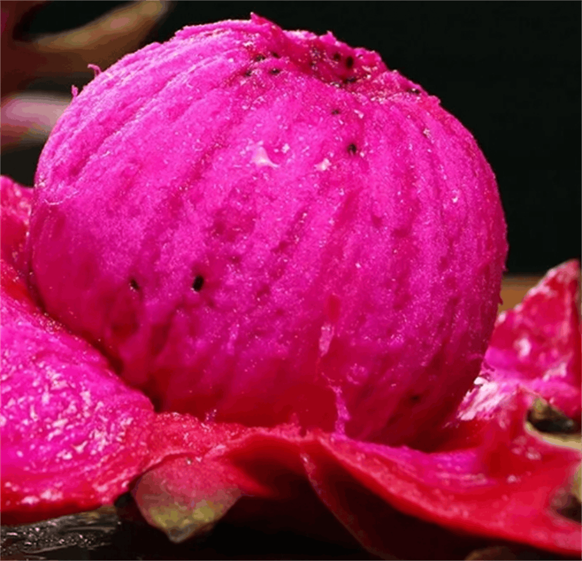 Gül Yıldırım tweet media