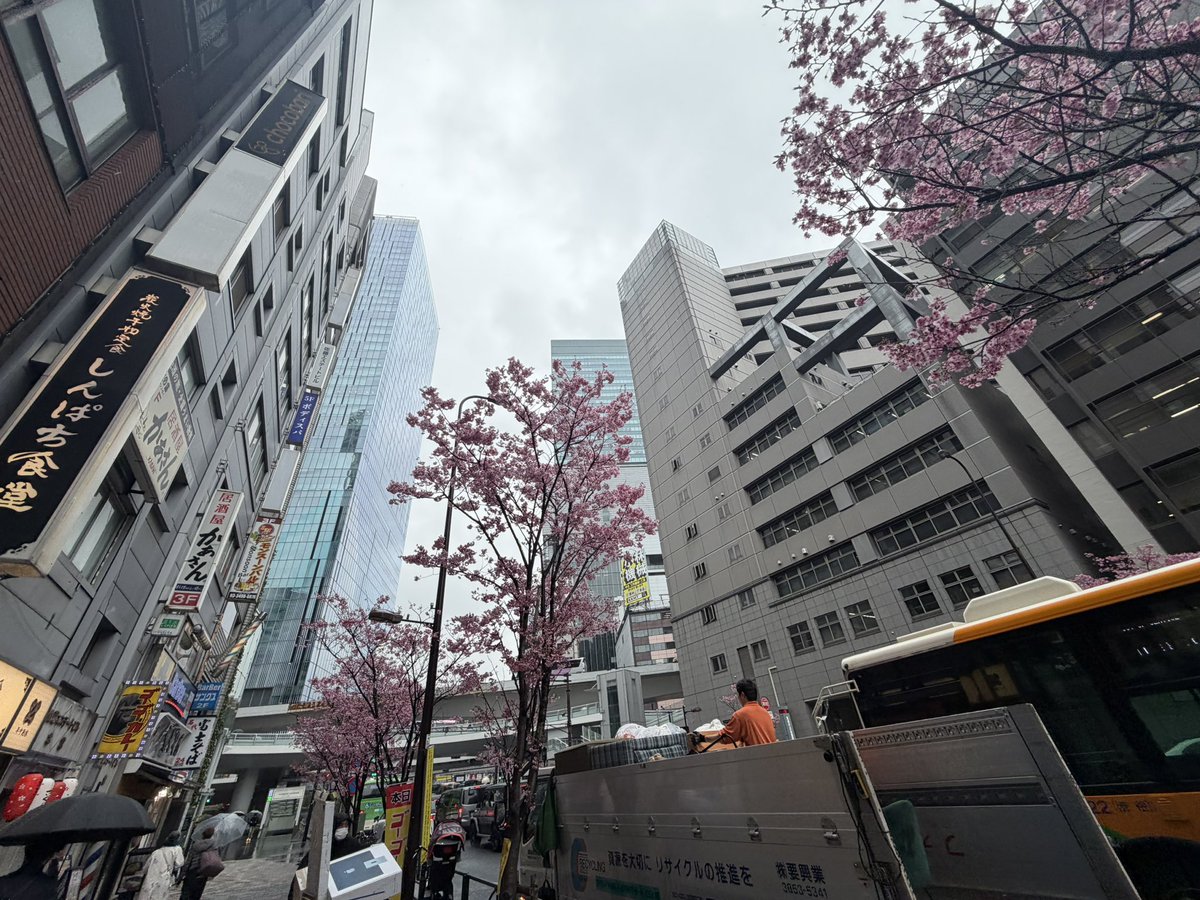 指揮官Pさん@マドラス tweet media