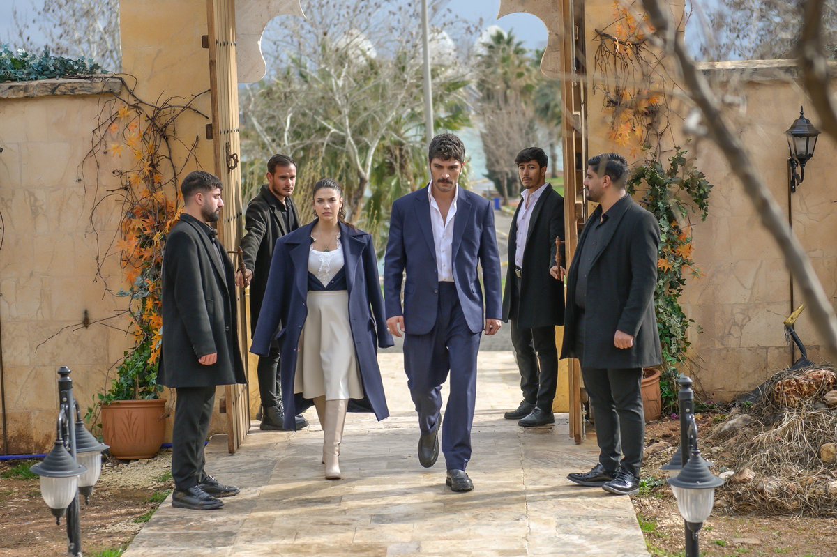 Sinelancer tweet media