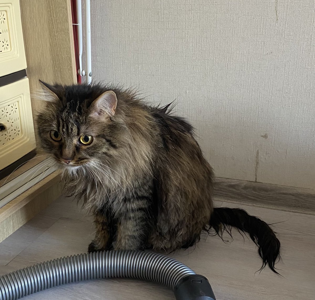 всяке буває🩷💜💙 tweet media