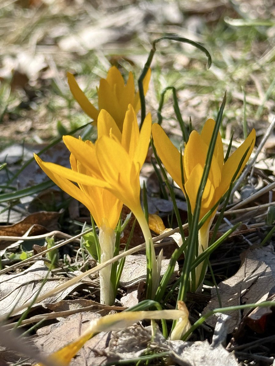 Maria Di tweet media