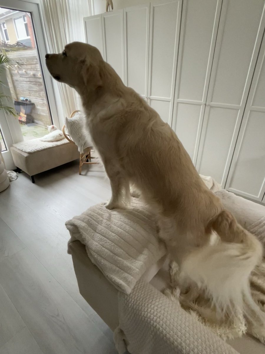 Zilmarillion tweet media