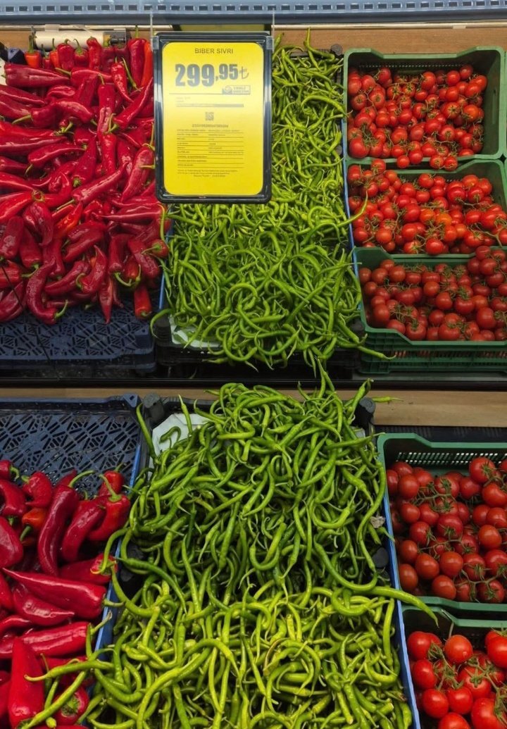 ROJBEYAN tweet media