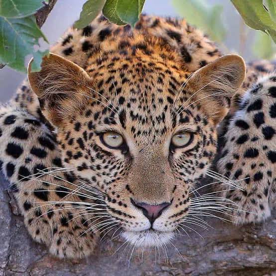 Yaşamdan Yana Derneği tweet media