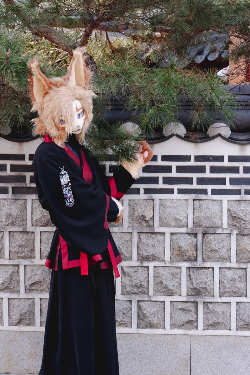 실라코 🔜 퍼스트 클래스 tweet media