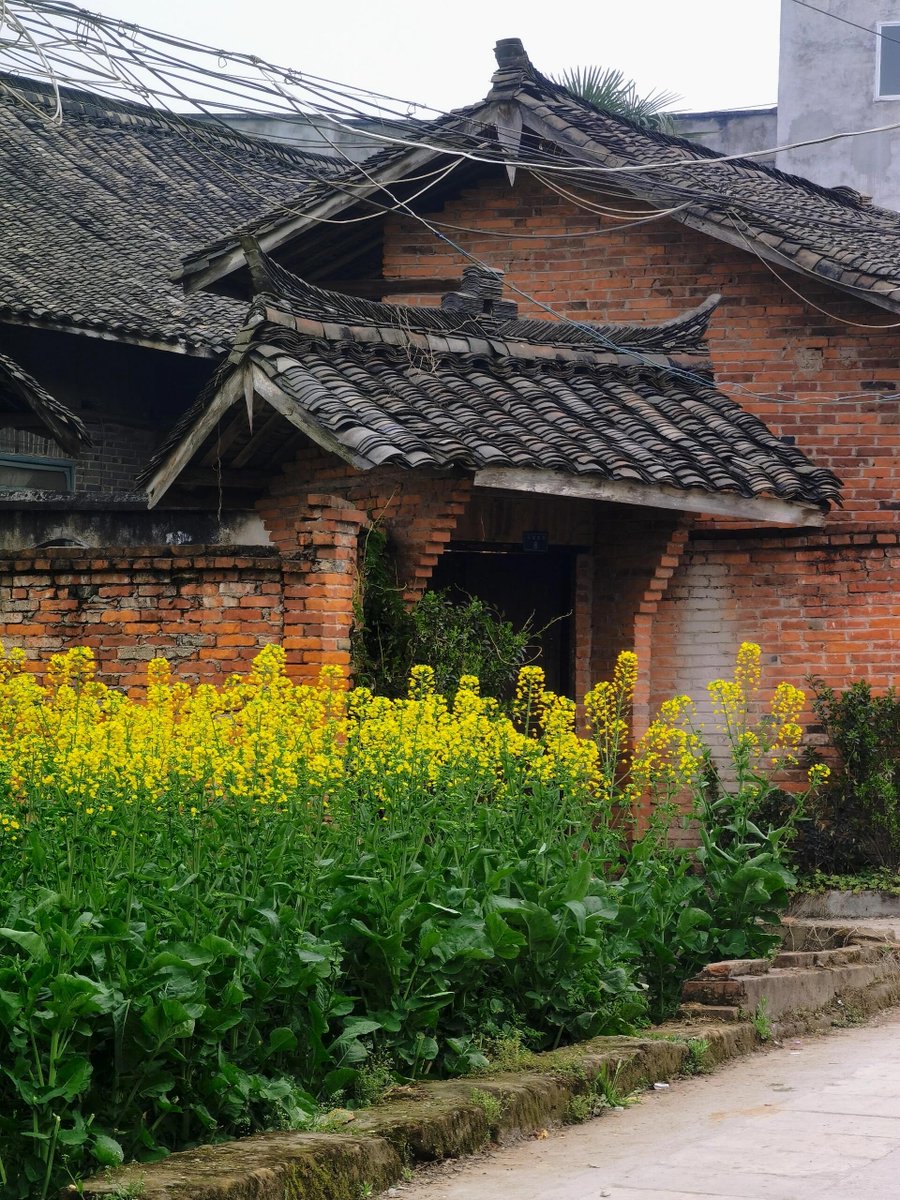 Jeremiah Stayton tweet media