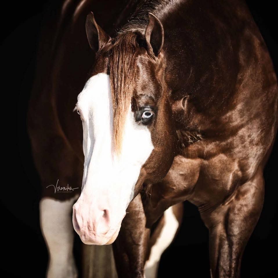 🐎 Lucky McQueen 🏎️ tweet media