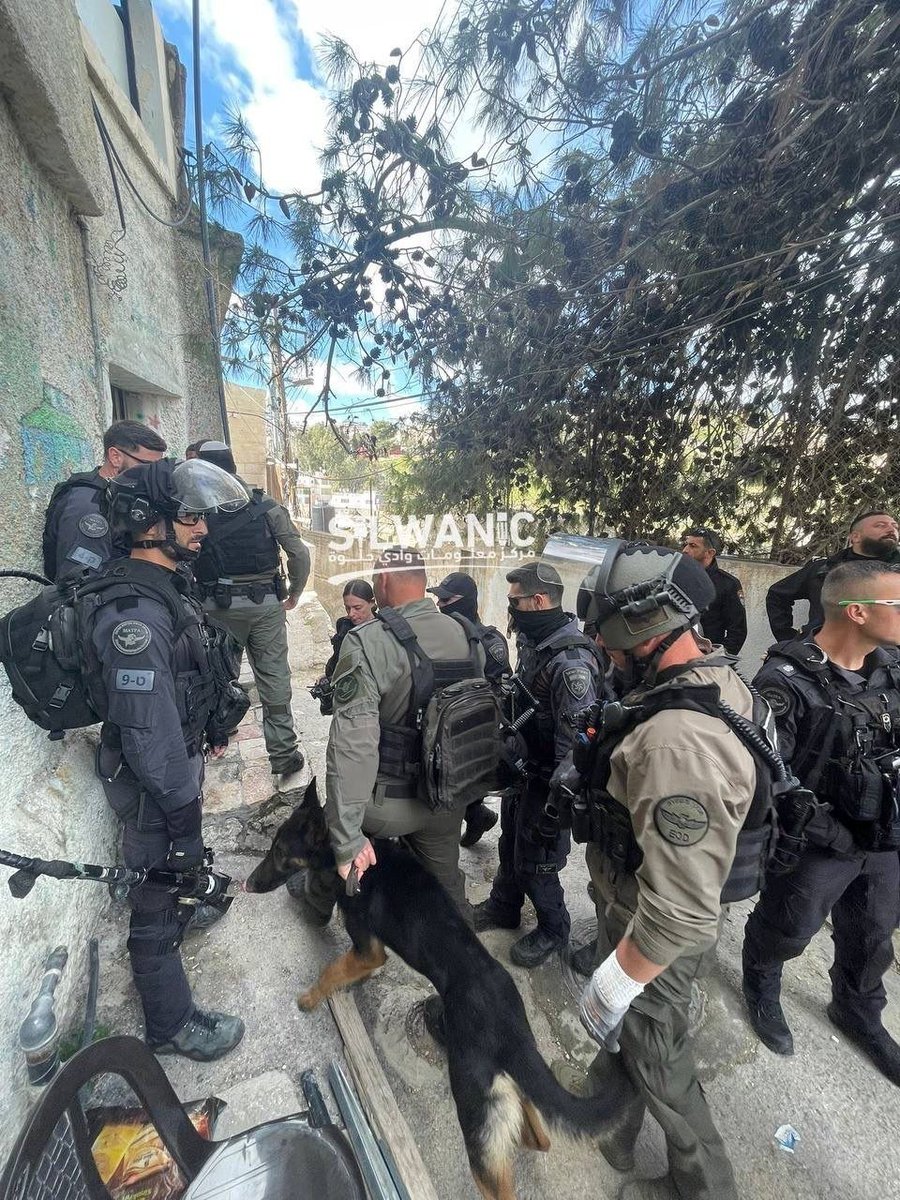 Quds News Network tweet media