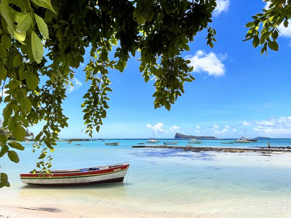 Mauritius Island tweet media